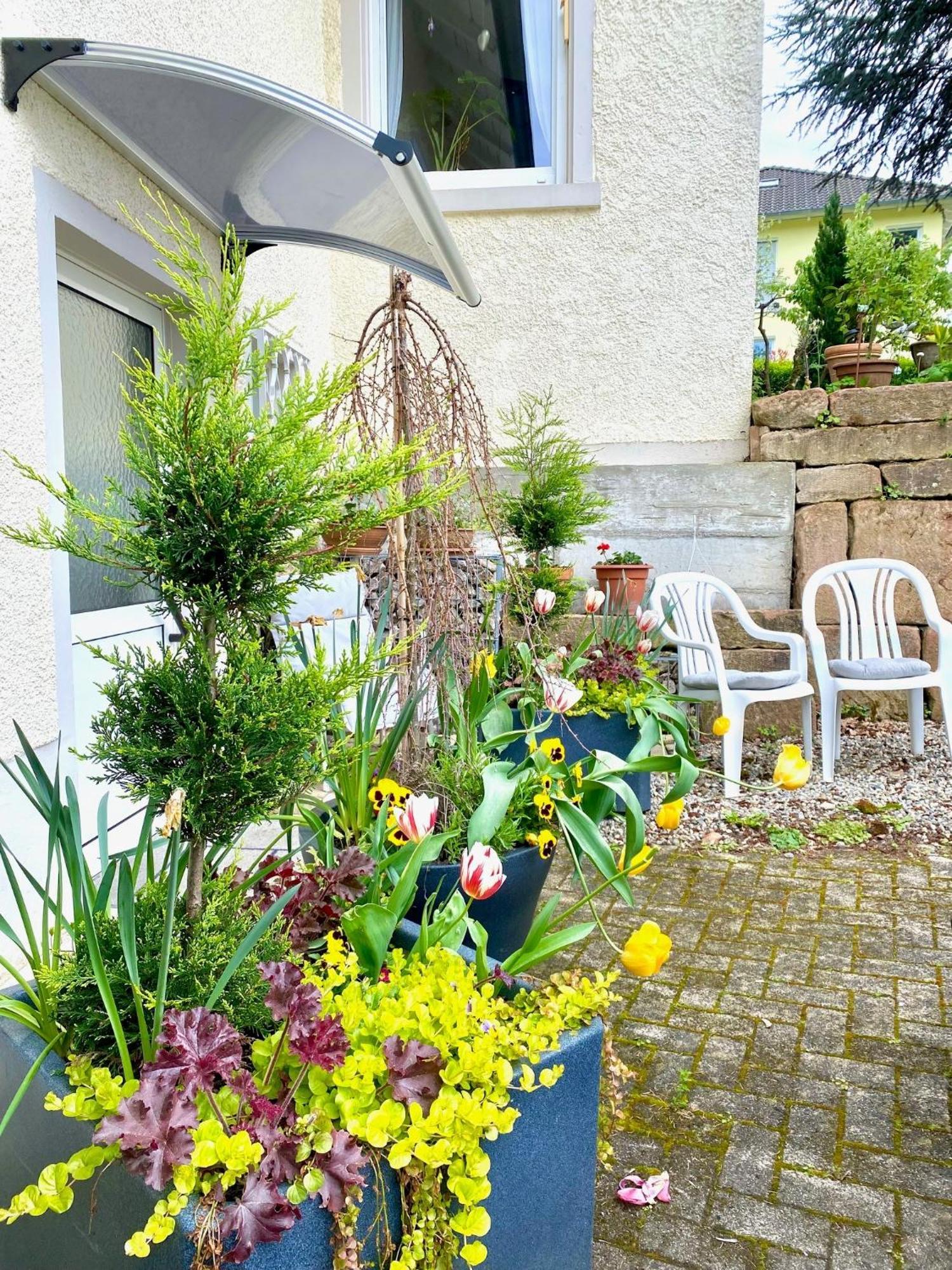 Haus Marija M Hotell Badenweiler Rom bilde